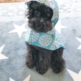 ちゃちゃさんの作品