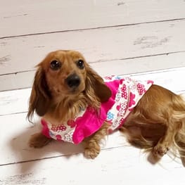 たまちゃんさんの作品