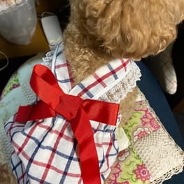 あ～すけさんの作品