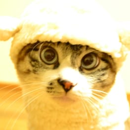 さやかさんの作品