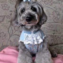 シロさんの作品