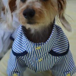 ひなはなさんの作品