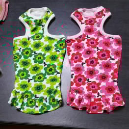 ちみさんの作品