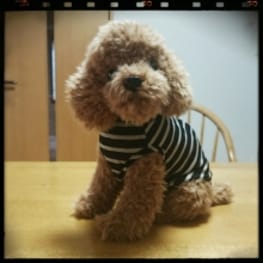 シロさんの作品