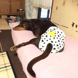 Aliceさんの作品