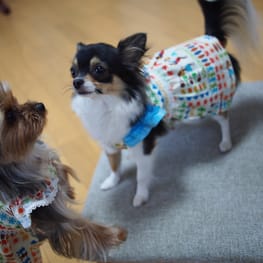 やすべえさんの作品