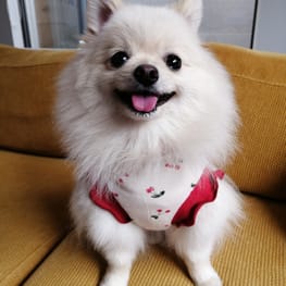 にこママさんの作品