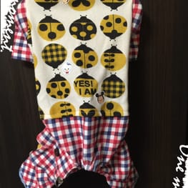 marimoさんの作品