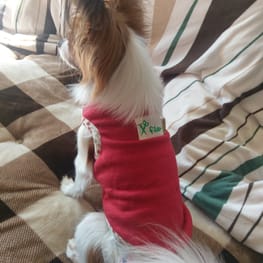 ビビティーさんの作品