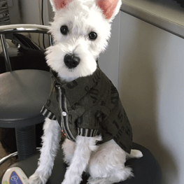 あっしゅさんの作品