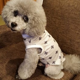 みちもこさんの作品