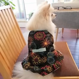 ワンピース / millacra / 愛犬のための犬服、ペット服の型紙通販 