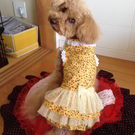 らくすさんの作品