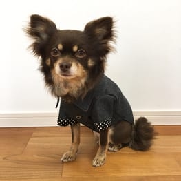 ゆずさんの作品