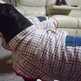 YRママさんの作品