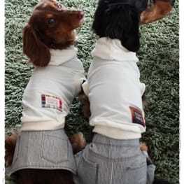 akizoo88さんの作品