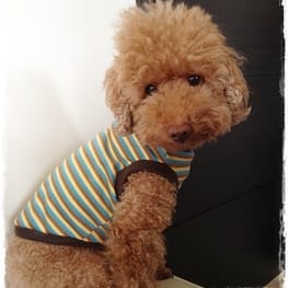 blancoさんの作品