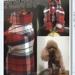 ひまわりさんの作品