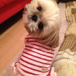 かよママさんの作品