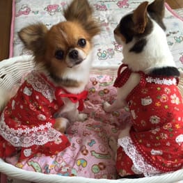 まあやさんの作品