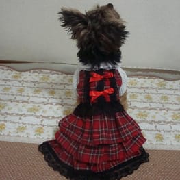 かさたんさんの作品