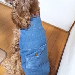 晴ママさんの作品