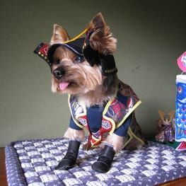 chikatyanさんの作品