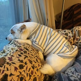 海うさぎさんの作品