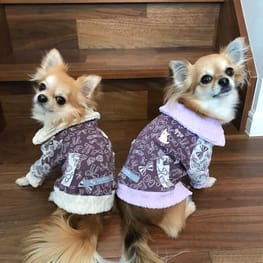 ブルゾン/millacra / 愛犬のための犬服、ペット服の型紙通販・作り方