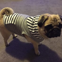 Coconutさんの作品