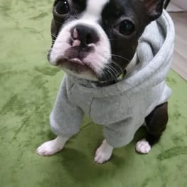 ☆☆☆さんの作品