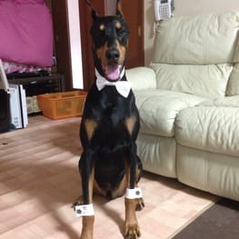 Aliceさんの作品