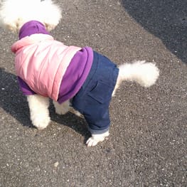 ももさんの作品