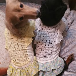 ちみさんの作品