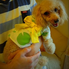 Kuririnさんの作品