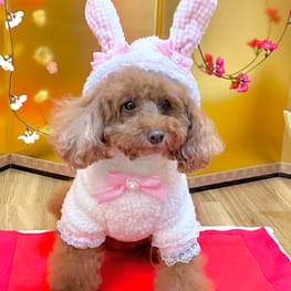 うさぎ/パンダ変身コスチューム/millacra / 愛犬のための犬服、ペット