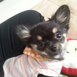 pobalさんの作品