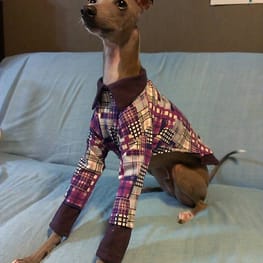 ちょここさんの作品