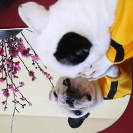 tanamiさんの作品