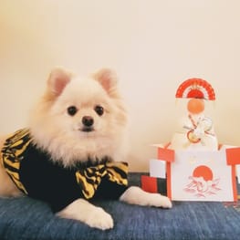 にこママさんの作品