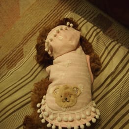 SAYOKOさんの作品