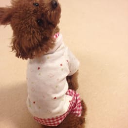 yuccoさんの作品