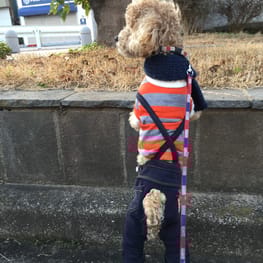 ミーナさんの作品