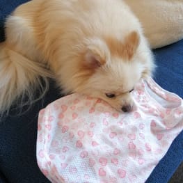 にこママさんの作品