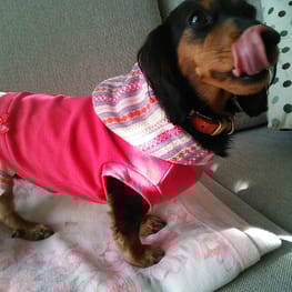 モコさんの作品