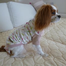 しまゆさんの作品