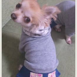 キャサリンさんの作品