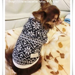 roncoさんの作品