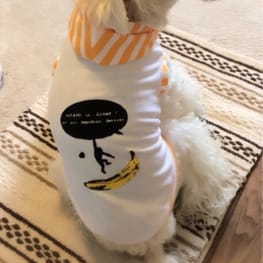 かんれいさんの作品