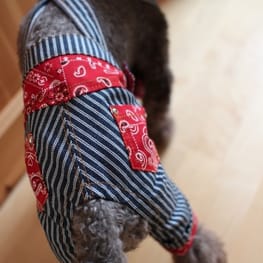 すずめさんの作品